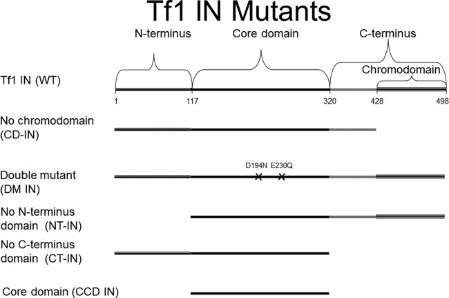 Fig 7