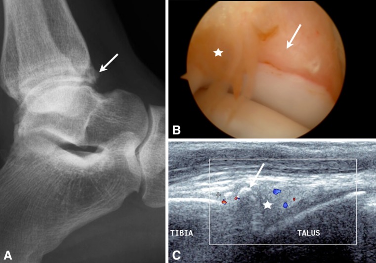 Fig. 8