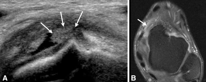 Fig. 7