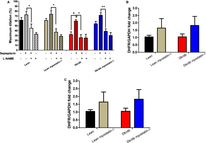 Figure 12.