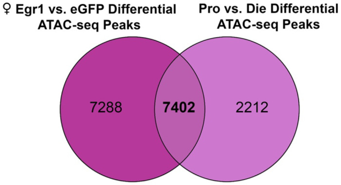 Extended Data Figure 8.