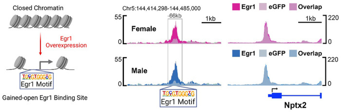 Extended Data Figure 6.