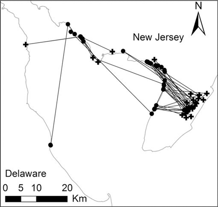 Fig. 6.