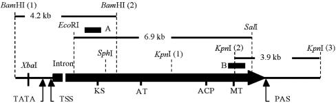 FIG. 2.