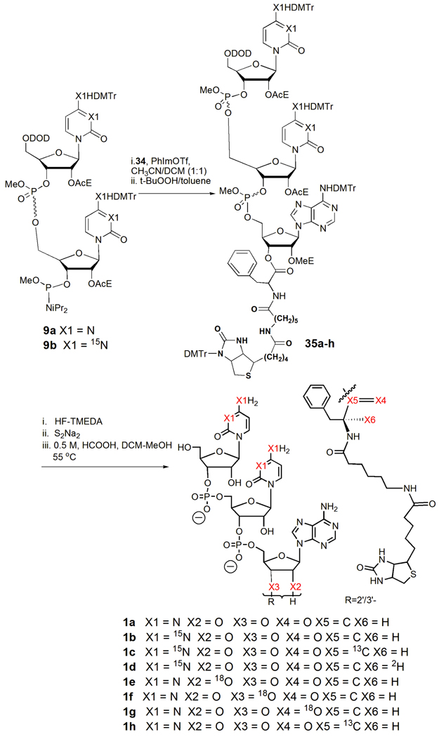 SCHEME 6