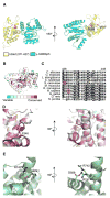 Fig. 4