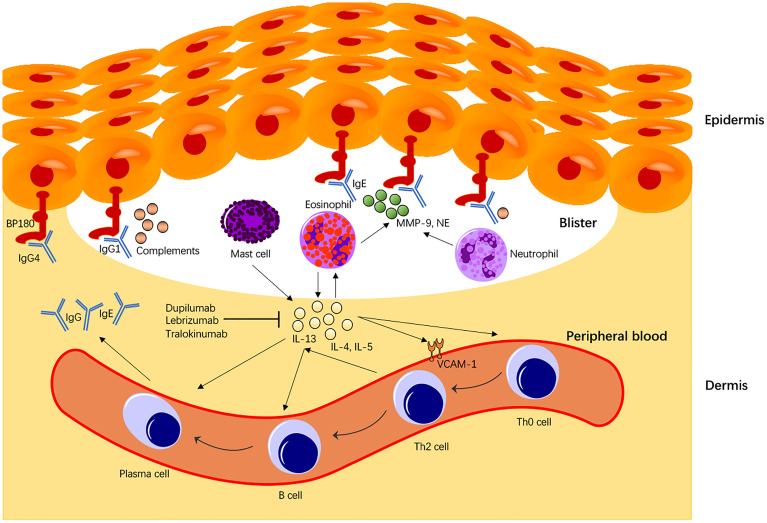 Figure 2