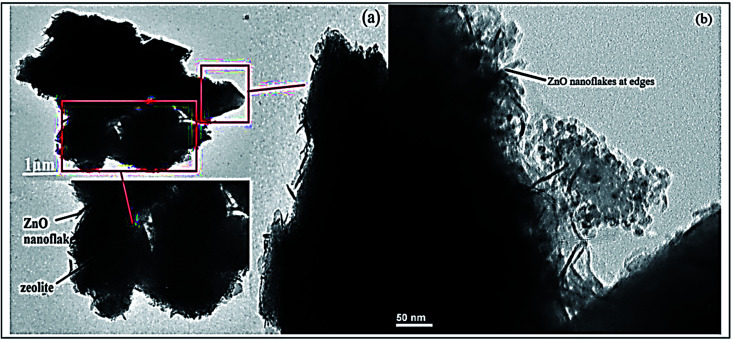 Fig. 16