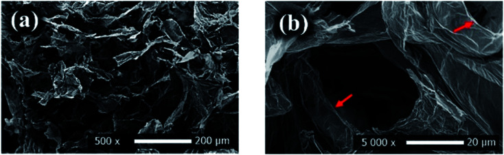 Fig. 13