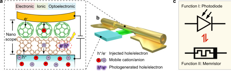 Fig. 1