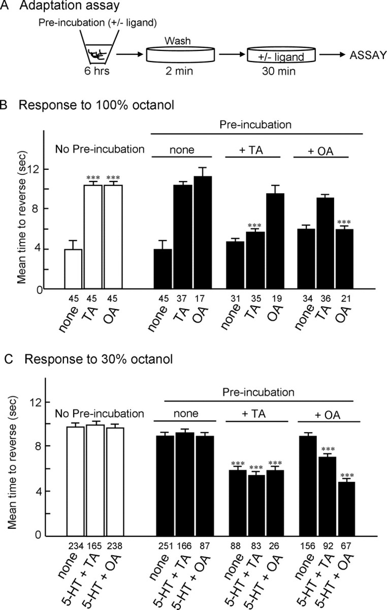 Figure 10.