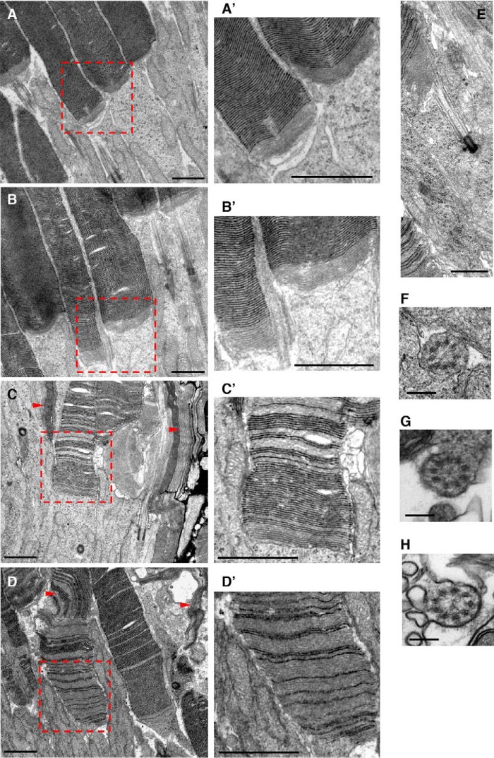 Figure 6.