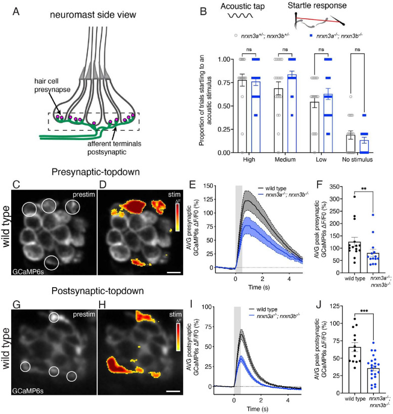 Fig 6.