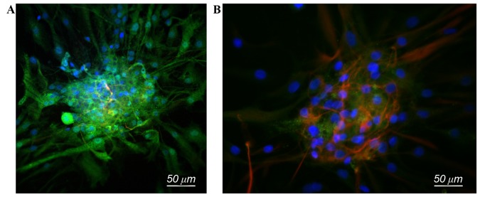 Figure 2.