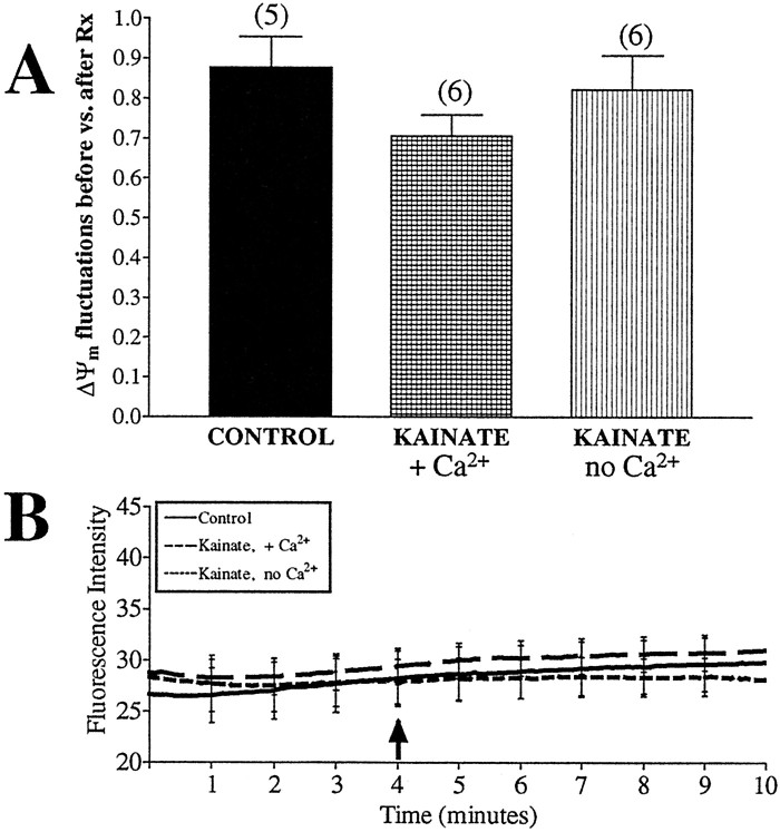 Fig. 10.