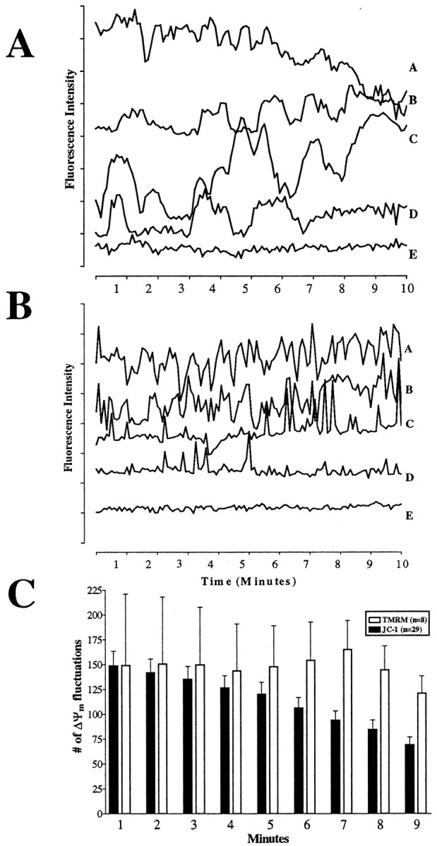 Fig. 3.