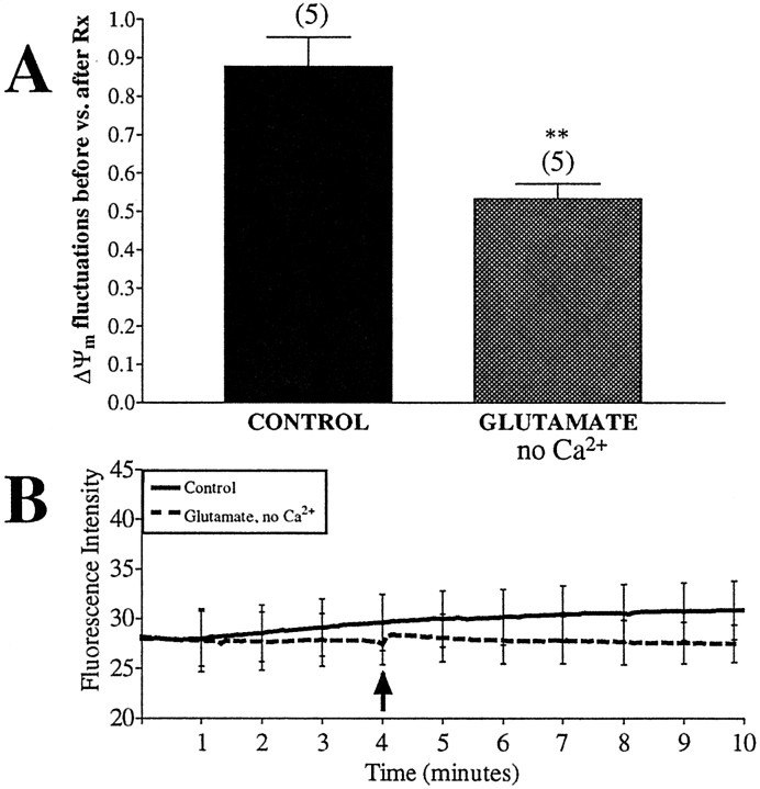 Fig. 11.