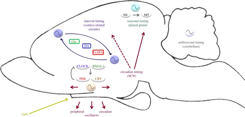 Figure 4.