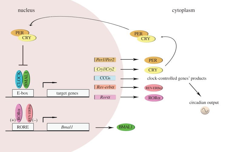 Figure 2.