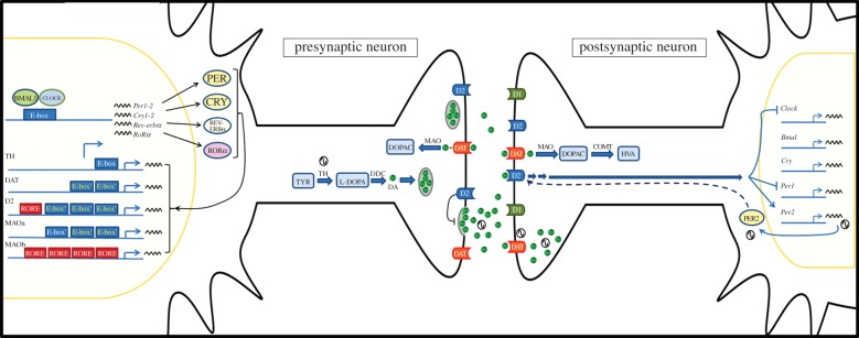 Figure 3.