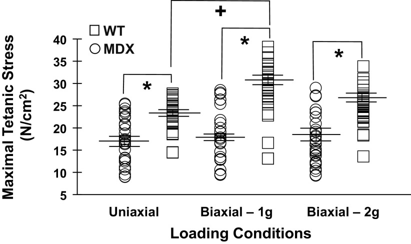 Figure 11.