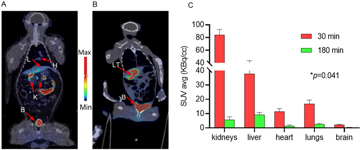 Fig. 7.