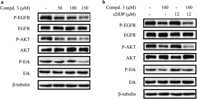 Fig. 5