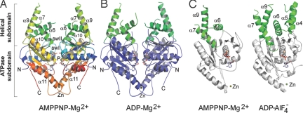 Fig. 1.