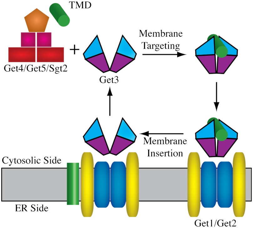 Fig. 1.