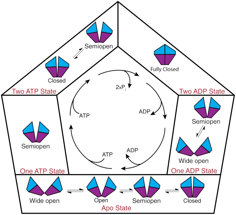 Fig. 6.