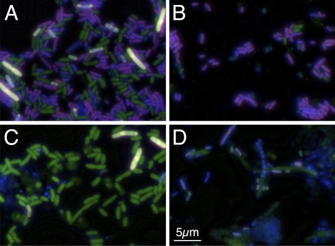 FIG 4