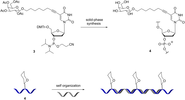 Scheme 2