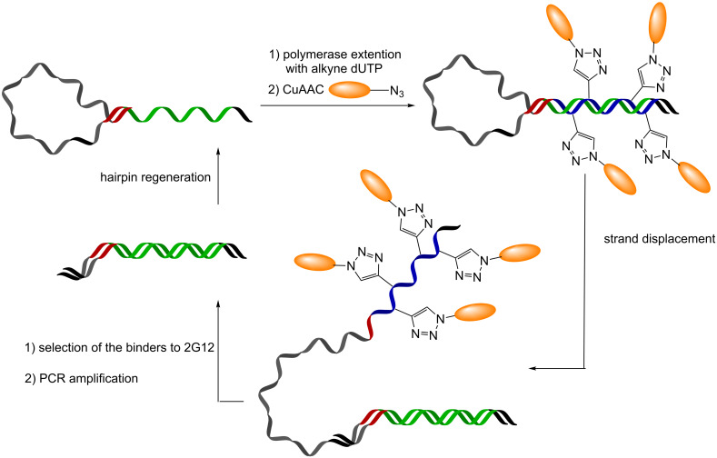 Scheme 6