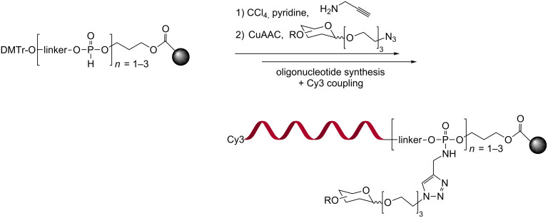 Scheme 4