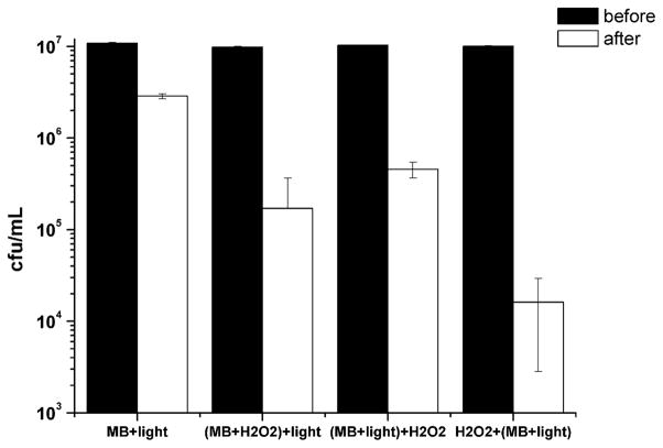 Fig. 7