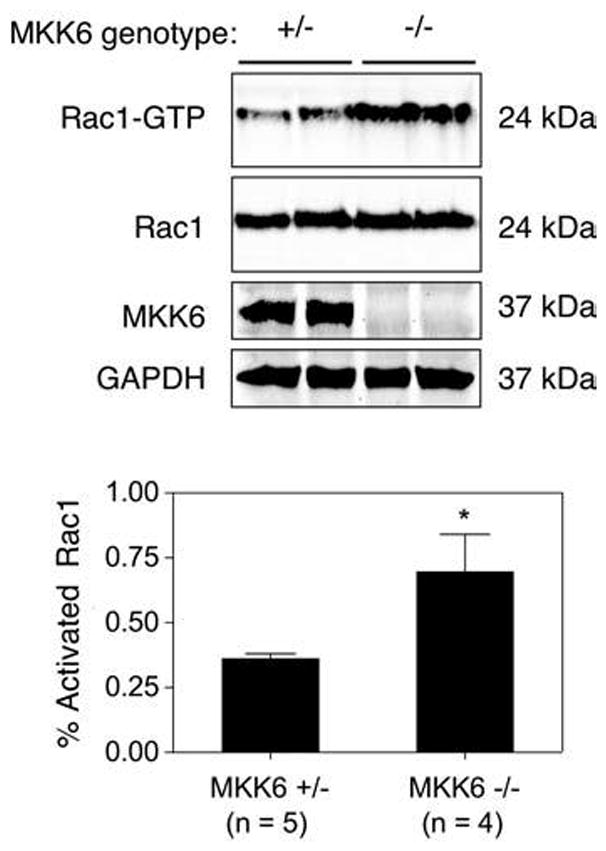 FIG. 6