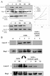 FIG. 7.