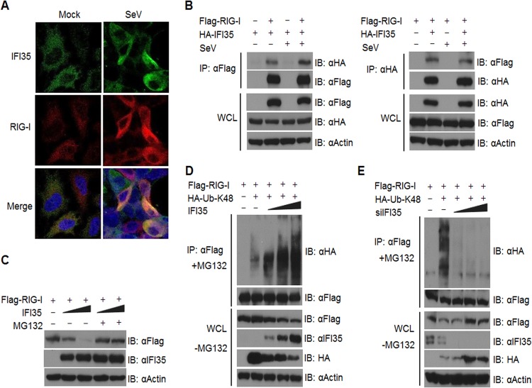 FIG 6