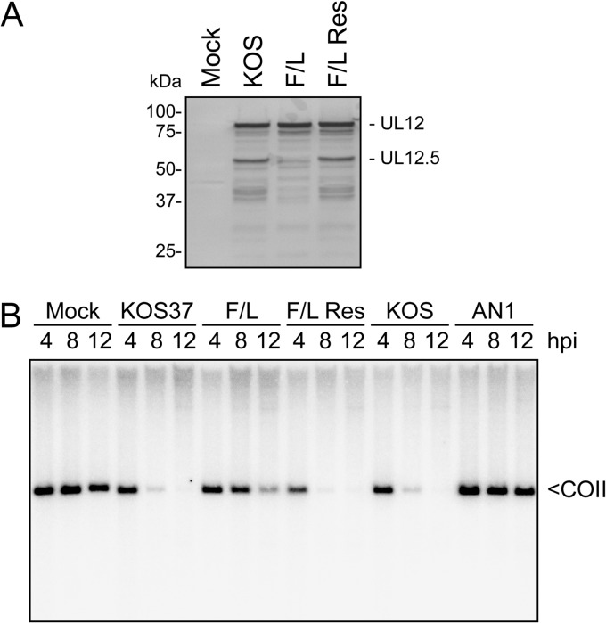 FIG 2