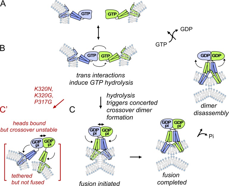 Figure 10.