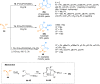Scheme 22