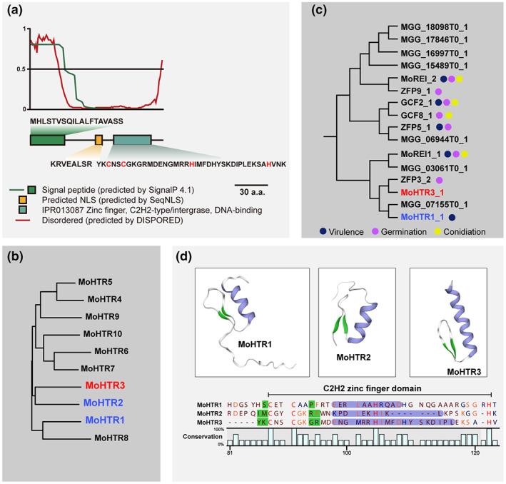 FIGURE 1