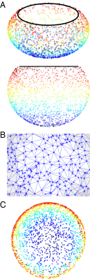 Fig. 1.