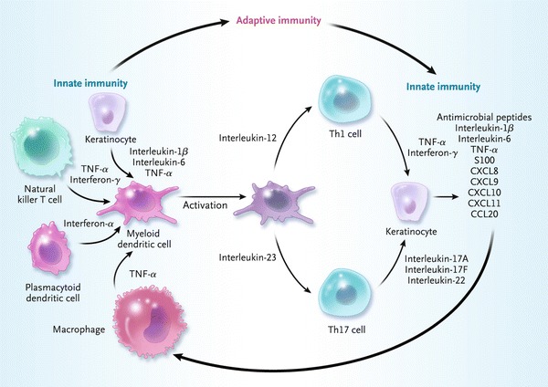 Fig. 2