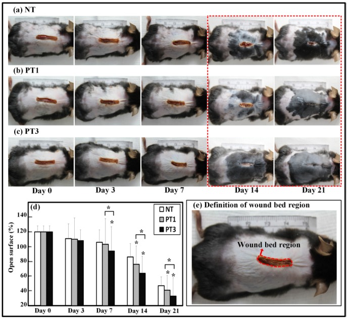 Fig 3