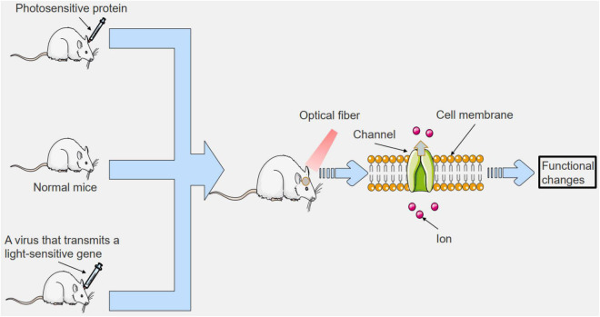 FIGURE 3