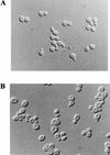 FIG. 6