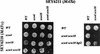 FIG. 9