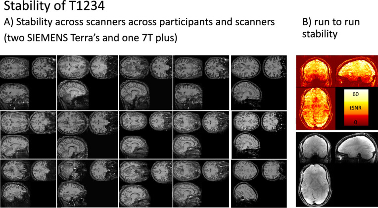 Fig. 4: