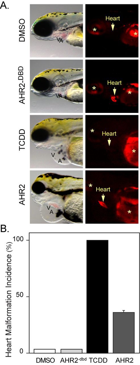 FIG. 10.